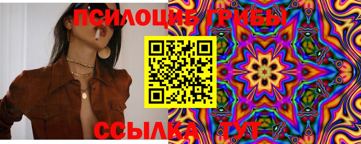 Галлюциногенные грибы Psilocybine cubensis Армавир