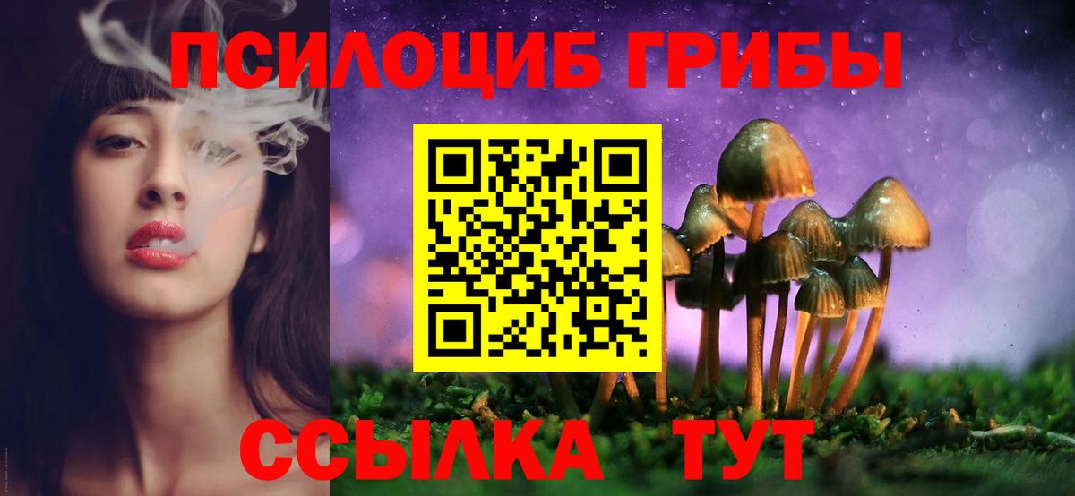 Армавир  наркотики  Вход с VPN  Галлюциногенные грибы MAGIC MUSHROOMS 